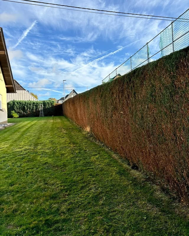 Garten- und Heckenpflege